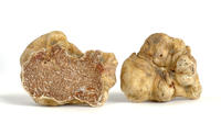 Truffle Hunting, Truffle Usine Visite et 1 étoile Michelin Dining Experience