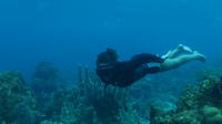 Adventure Kayak and Reef Snorkel Excursion in St Thomas