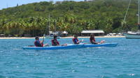 Reef et Turtle Discovery Tour