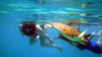 St Thomas Kayak and Sea Turtle Snorkel Excursion