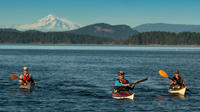 Kayak Tour of Gulf Islands