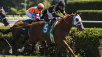 Excursión de 2 o 3 días a Saratoga Springs con un día en el hipódromo de Saratoga Excursión de 2 o 3 días a Saratoga Springs con un día en el hipódromo de Saratoga