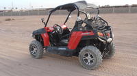 Buggy Safari Sharm el Sheikh