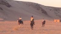 Horse Riding in Sharm el Sheikh