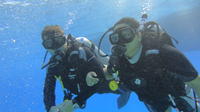Introduction to Scuba Diving in Sharm el Sheikh