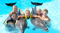 Swim with Dolphins in Sharm el Sheikh