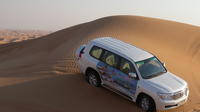 Safari dans le désert de Dubaï Incluant barbecue et traversée des dunes rouges; d Al hibab