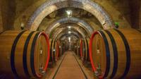 Wine and Olive Oil Tour: Discover and Taste