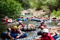 Essential Costa Rica: 8-Day All-Inclusive Visite