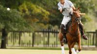 Polo Lessons from Buenos Aires