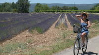 Luberon Electric Bike Rental from Bonnieux