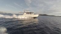 Mljet Island Yacht Excursion from Korcula Island