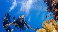 Best Snorkeling in Taba Egypt