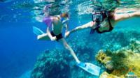 Group Tour to Best Snorkeling in Taba Egypt