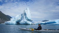 Bear Glacier Helicopter and Kayak Tour from Seward