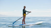 Stand-Up Paddle Lesson