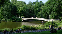 Imagen Recorrido guiado en bicicleta por Central Park
