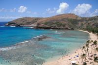 Hanauma Bay Guided Snorkel Tour with Underwater Photos