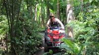 ATV Tour with Monkey Forest Experience in Bali