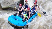 Bali Day Trip White Water Rafting and Spa Treatment