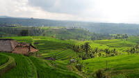 Private Tour: Temple and Countryside Tour from Bali