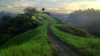 Private Tour: Ubud Rice Paddies Trek with Campuhan Ridge Walk