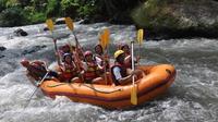 White Water Rafting Adventure in Ubud with optional Balinese Massage