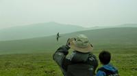Denali Helicopter Tour and Nature Hike