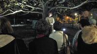Haunted Asheville Visite Ghost Walking et Mystery Museum