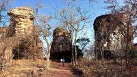 Full-Day Private Tour from Bhopal to Bhojpur and Bhimbetka 