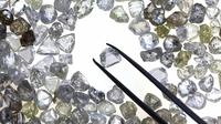 Panna Diamond Mining tour with Lunch at Braharpati Kund