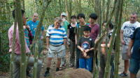 Half-Day Afternoon Cu Chi Tunnels Tour