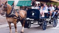 Historic Carriage Tour of Charleston