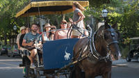 Private Historic Carriage Tour of Charleston