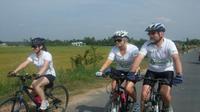 Ho Chi Minh City Half-Day Bike Tour Including Cu Chi Tunnels