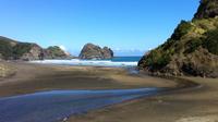 Piha and Karekare Rainforest Wine Adventure Tour