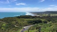 Odyssey Vineyard Scenic Auckland