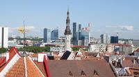 Shore Excursion: Best of Tallinn in a Small Group