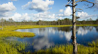 Une journée au Parc national de Lahemaa