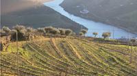 Douro Valley Wine Tour: Visit to Three Vineyards with Wine Tastings and Lunch