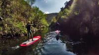 Mountain Stand Up Paddle from Porto