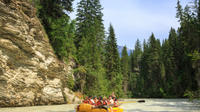 Scenic Rafting voyage sur la rivière Blaeberry