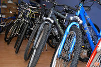 Bike Rental in Thorold