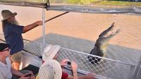 Excursion d'une journée Crocodile Saut compris Déjeuner à Humpty Doo Tavern