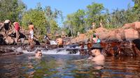 Litchfield and Jumping Crocodiles Full Day Trip from Darwin