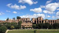 Full-Day Small-Group Sightseeing Tour of Rome With Pickup from Civitavecchia Port