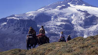 7-Day Andes Crossing from Mendoza to Chile by Horse