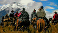 Full Day Horseback Riding in Mendoza