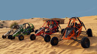 Experience a Dune Desert Buggy Safari in Dubai