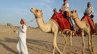 Morning Camel Trekking Safari from Dubai 